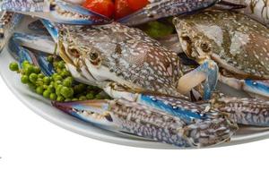 Raw blue crab on the plate and white background photo