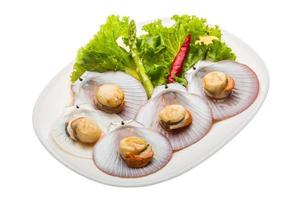 Grilled scallops on the plate and white background photo