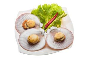 Grilled scallops on the plate and white background photo