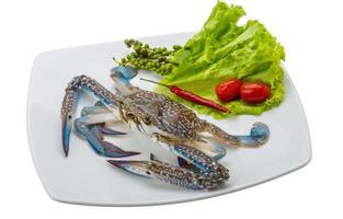 Raw blue crab on the plate and white background photo