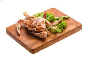 Red crab on wooden board and white background photo