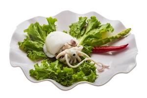 Boiled cuttlefish on the plate and white background photo