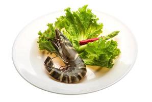 Tiger prawn on the plate and white background photo