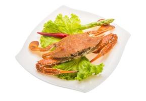 Boiled crab on the plate and white background photo