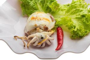 Grilled cuttlefish on the plate and white background photo