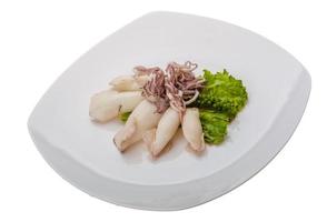 Boiled squid on the plate and white background photo