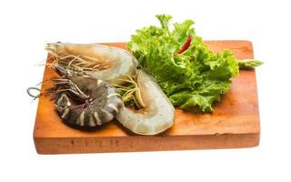 Tiger prawn on wooden board and white background photo