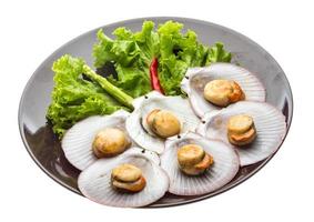 Grilled scallops on the plate and white background photo