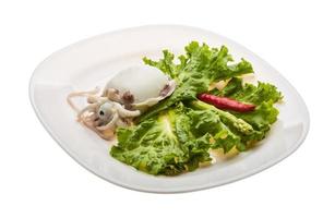 Boiled cuttlefish on the plate and white background photo