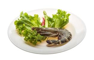Tiger prawn on the plate and white background photo