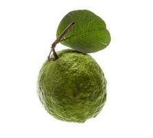 Guava on white background photo