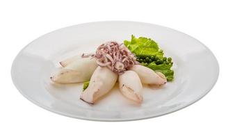 Boiled squid on the plate and white background photo