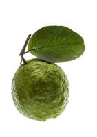 Guava on white background photo