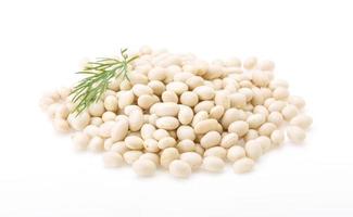 White dry beans photo