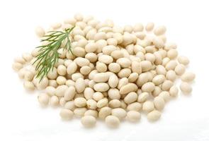 White dry beans photo