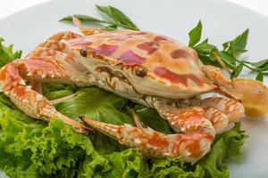 Boiled crab on the plate and white background photo