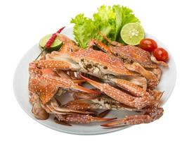 Boiled blue crab on the plate and white background photo