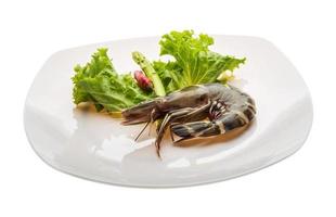 Tiger prawn on the plate and white background photo