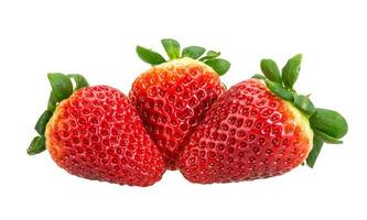 Strawberry on white background photo