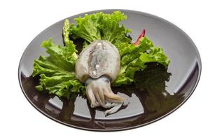 Raw cuttlefish on the plate and white background photo