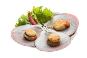 Grilled scallops on the plate and white background photo