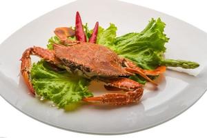 Boiled crab on the plate and white background photo