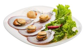 Grilled scallops on the plate and white background photo