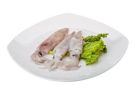 Raw calamari on the plate and white background photo