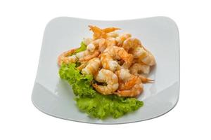 Shrimps cocktail on the plate and white background photo