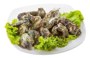 Oyster on the plate and white background photo