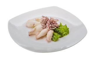 Boiled squid on the plate and white background photo
