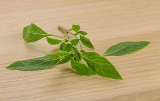 Bergamot leaves on wooden plate photo