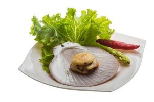 Grilled scallops on the plate and white background photo