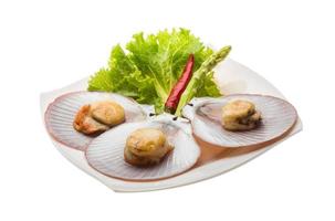 Grilled scallops on the plate and white background photo