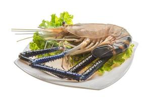 Freshwater prawn on the plate and white background photo