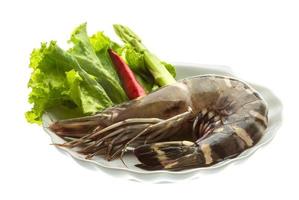 Tiger prawn on the plate and white background photo