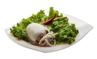 Boiled cuttlefish on the plate and white background photo