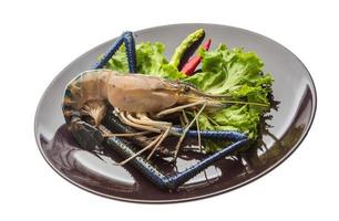 Freshwater prawn on the plate and white background photo