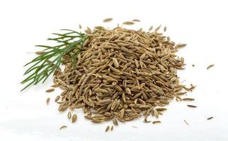 Zira seeds on white background photo