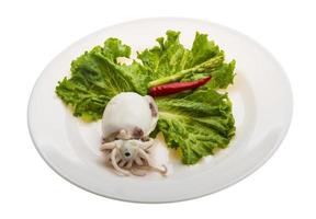 Boiled cuttlefish on the plate and white background photo