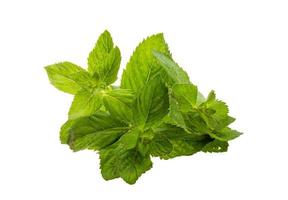 Mint leaves on white background photo