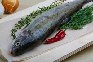 Raw trout on wooden board and wooden background photo