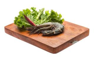 Tiger prawn on wooden board and white background photo