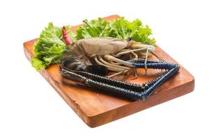 Freshwater prawn on wooden board and white background photo