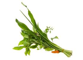 Asian herbs on white background photo