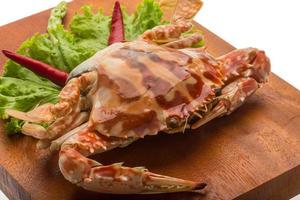 Red crab on wooden board close up view photo