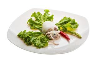 Boiled cuttlefish on the plate and white background photo