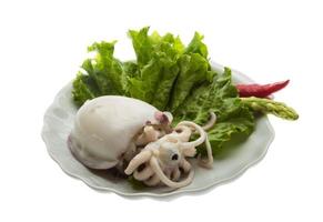 Boiled cuttlefish on the plate and white background photo