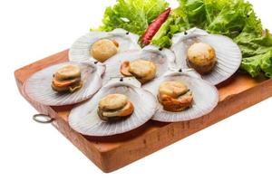 Grilled scallops on wooden board and white background photo