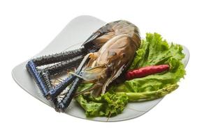 Freshwater prawn on the plate and white background photo